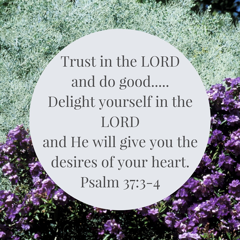 Trust in the LORD,
