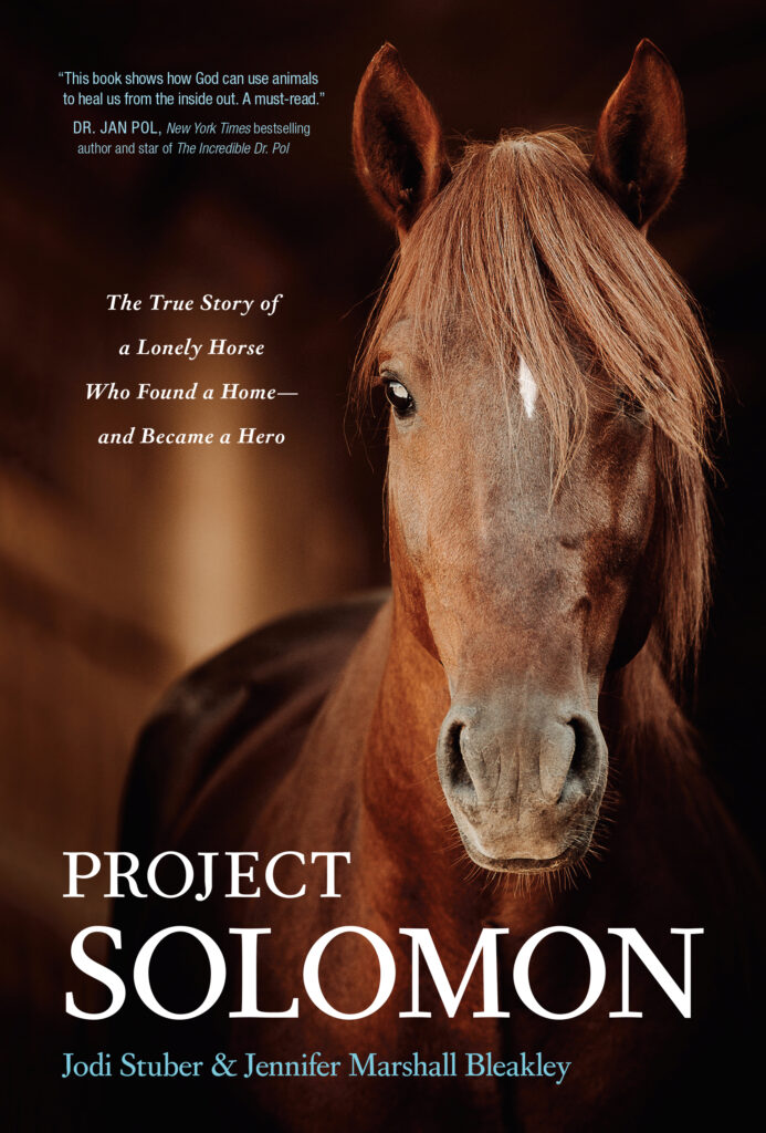 Project Solomon - The True Story of a Lonely Horse Who Found a Home - and Became a Hero