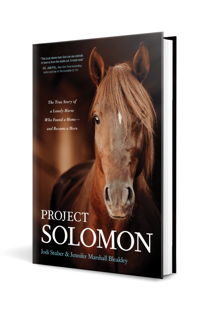 Project Solomon book cover