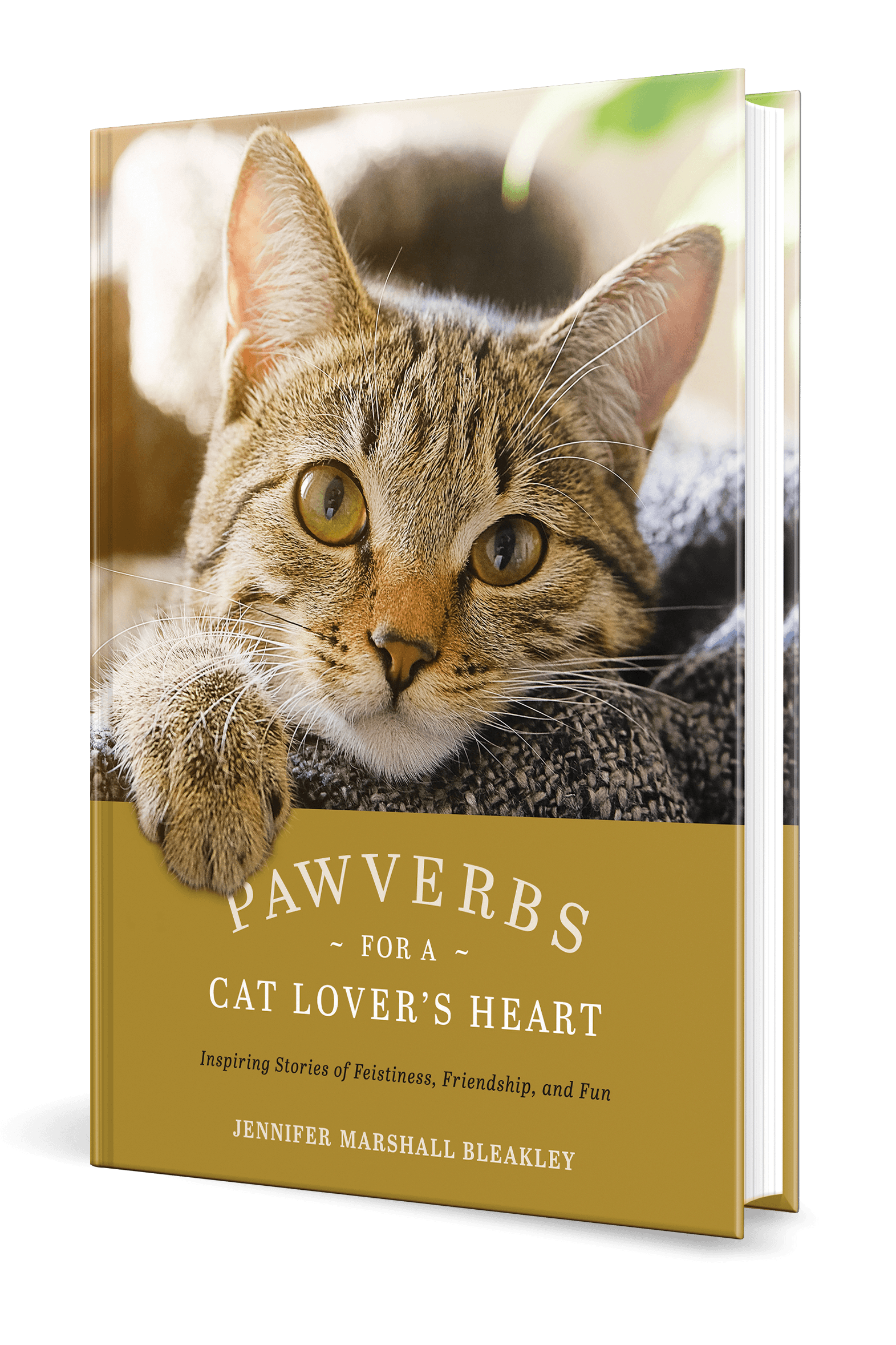 Pawverbs for a Cat Lovers Heart