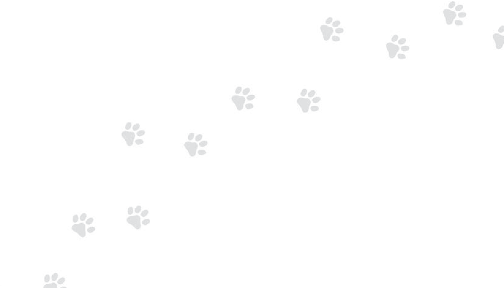 pawprints background