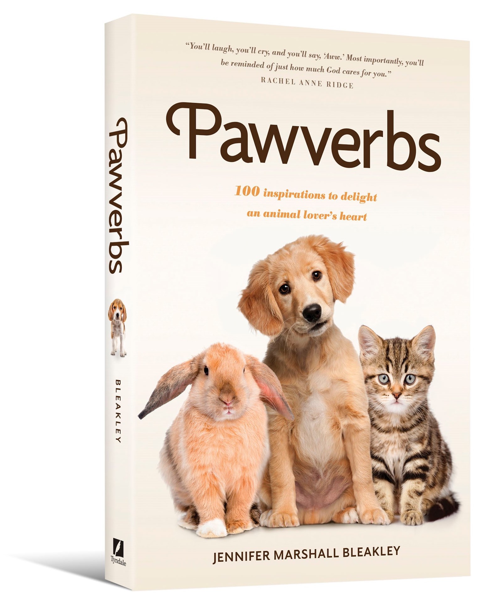 Pawverbs