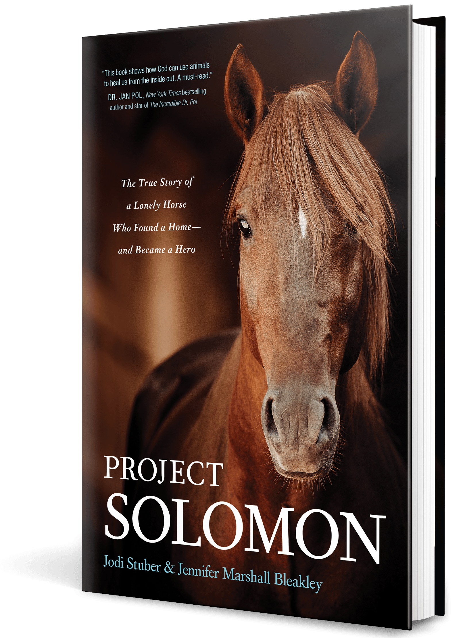 Project Solomon