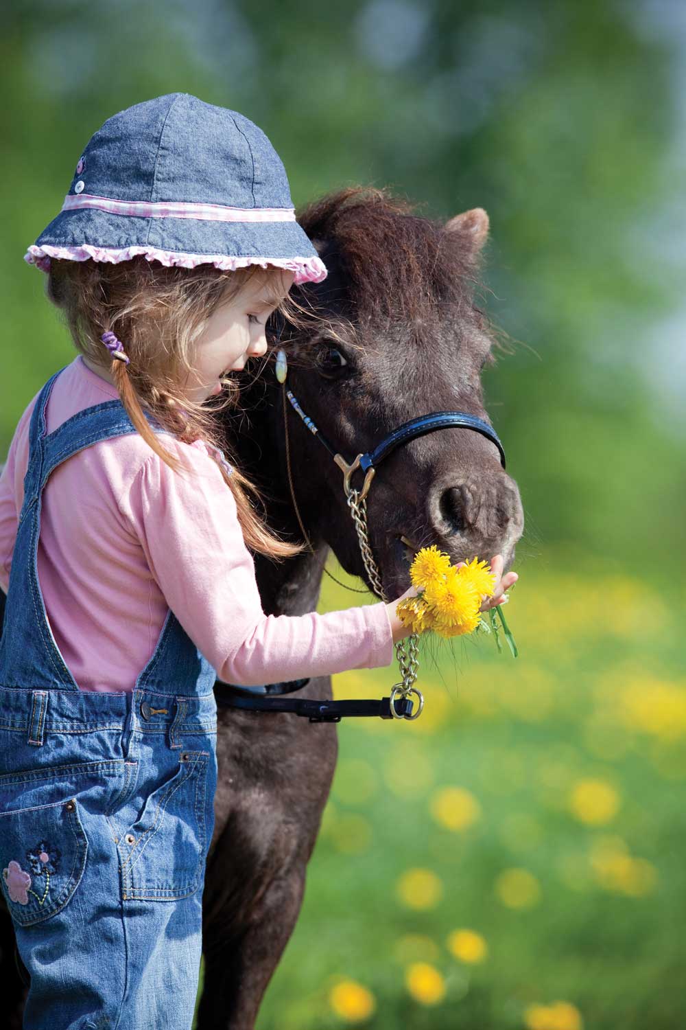 girl feeding pony